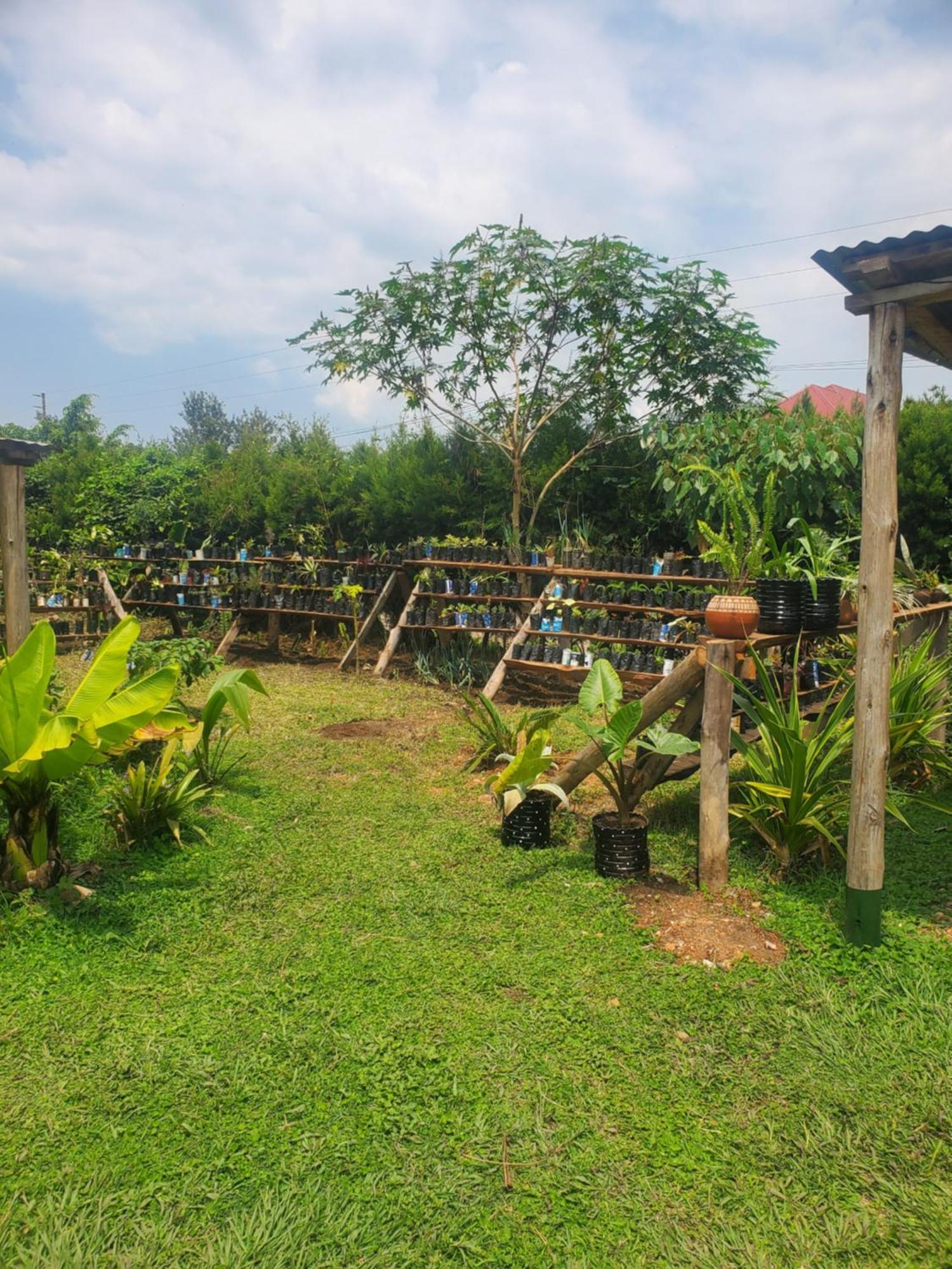 Gaia Eco Hub Bnb Fort Portal Exteriör bild