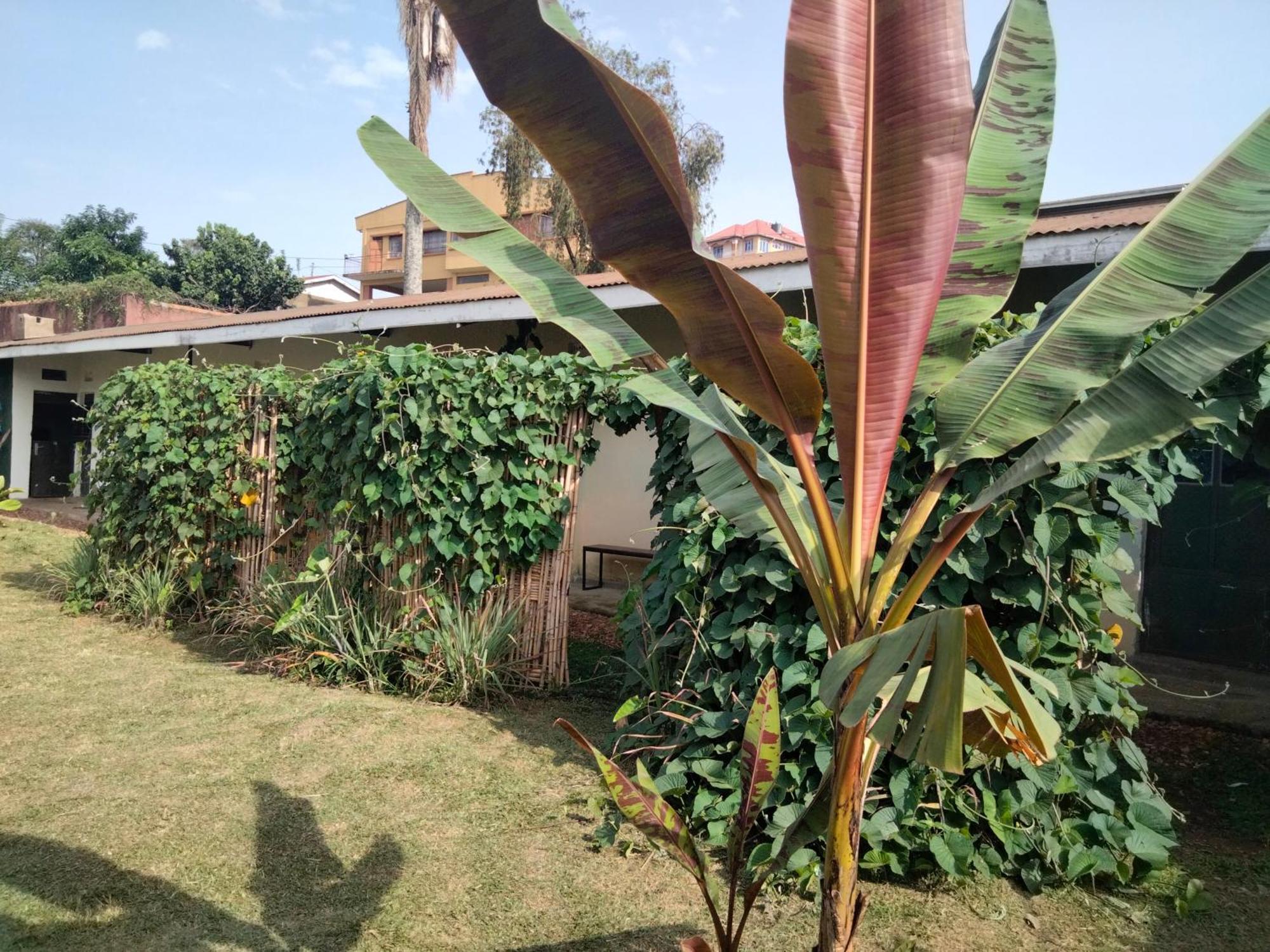 Gaia Eco Hub Bnb Fort Portal Exteriör bild