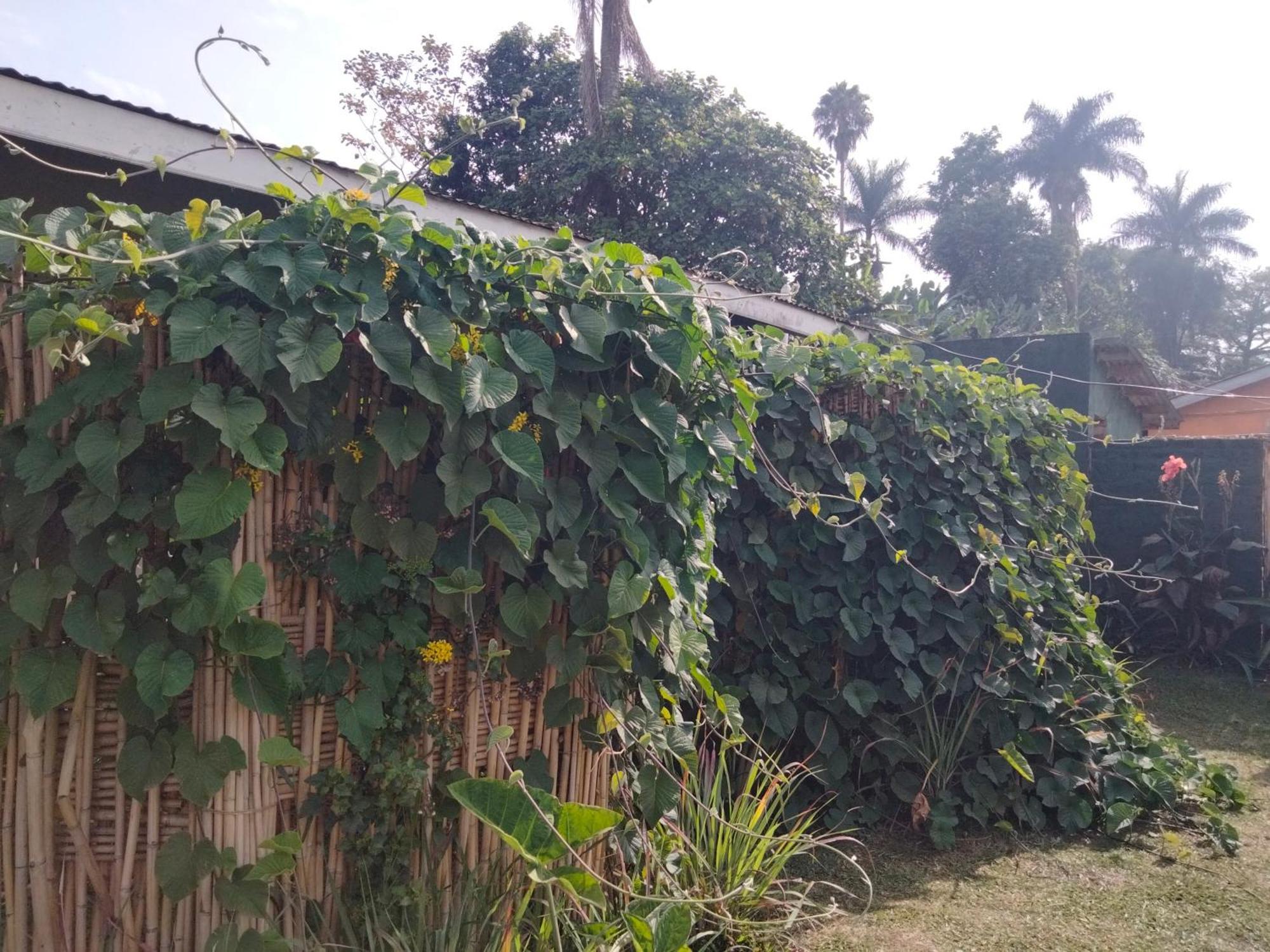 Gaia Eco Hub Bnb Fort Portal Exteriör bild